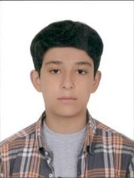 امیر حسین ولایتی نسب